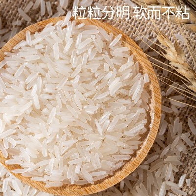 正宗广东农家米50斤煲仔饭专用20斤 晚稻长粒香大米新米25kg批发图2