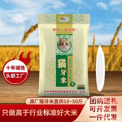 厂家直批猫牙特长新米一件代发长粒香大米10kg丝苗米10斤25kg批发图2