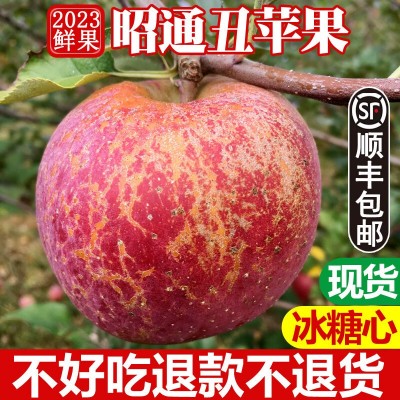 云南邵通丑苹果10斤冰糖心苹果新鲜水果当季整箱邵通包邮四川红富