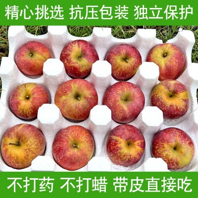 云南邵通丑苹果10斤冰糖心苹果新鲜水果当季整箱邵通包邮四川红富图4