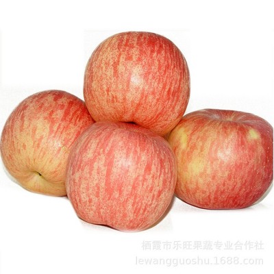 烟台红富士苹果 新鲜水果 70#果30个小果 净重10斤装 不含运费图5