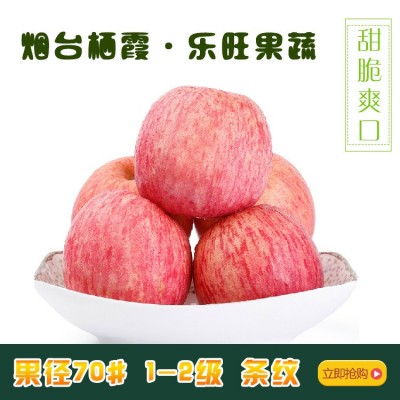 烟台红富士苹果 新鲜水果 70#果30个小果 净重10斤装 不含运费