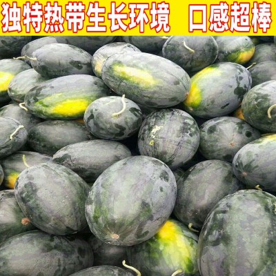 黑美人西瓜越南品种薄皮黑美人西瓜应季新鲜水果现货皮薄多汁图3