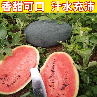 黑美人西瓜越南品种薄皮黑美人西瓜应季新鲜水果现货皮薄多汁图2