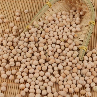 白豌豆白豌豆 五谷杂粮烘焙原料豌豆 豆类批发
