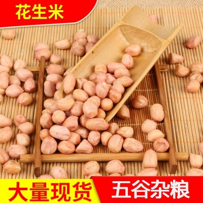 农家花生米 食品榨油原料 东北花生仁 五谷杂粮饱满花生米批发