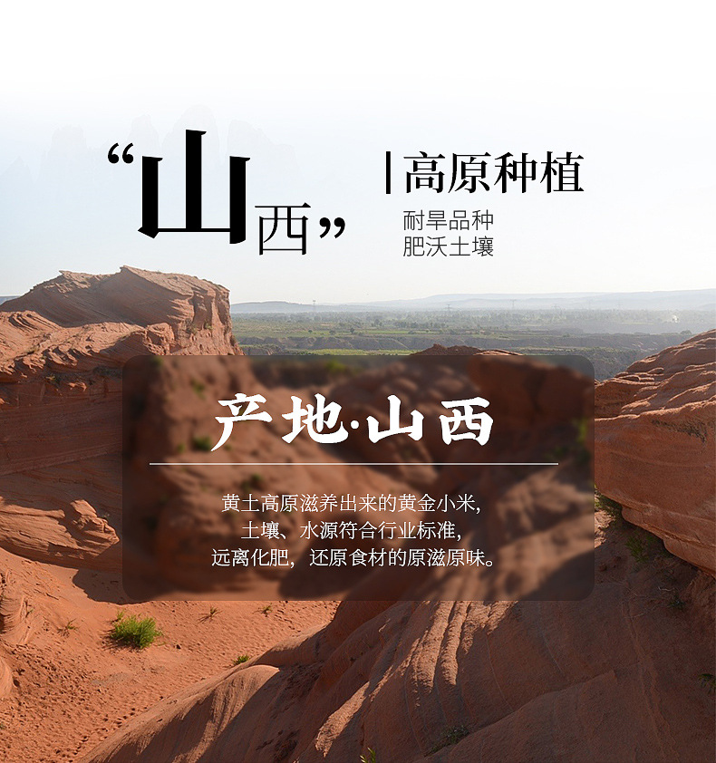 黄小米内页_02.jpg