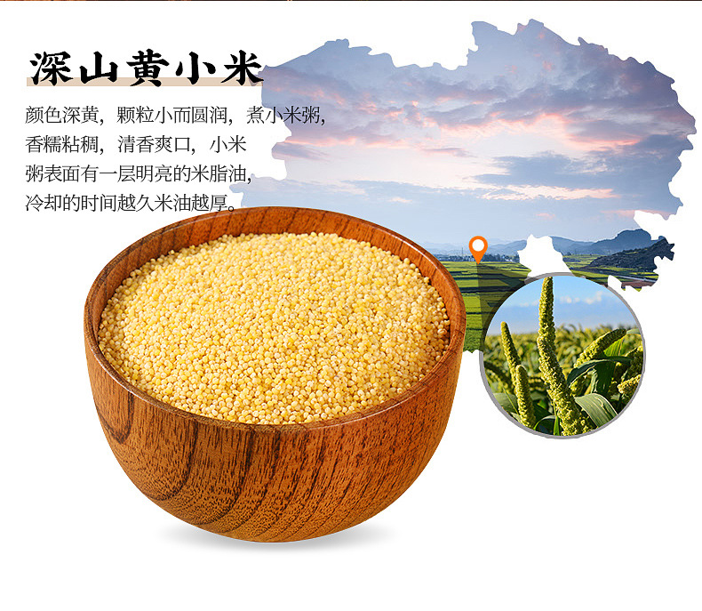 黄小米内页_03.jpg