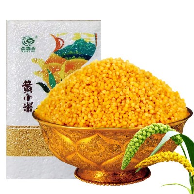 黄小米OEM定制山西沁洲黄新米真空米砖批发五谷杂粮500g/2500g
