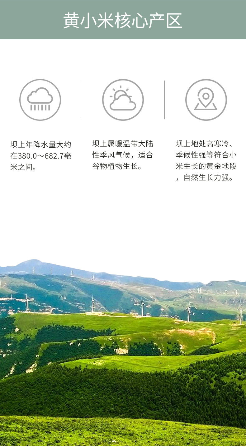 小米详情_03.jpg