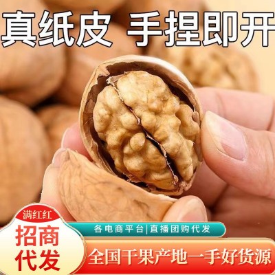 代发新疆烤核桃185核桃批发500g 阿克苏手剥坚果零食薄皮生核桃