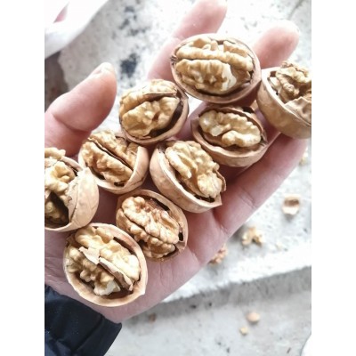 新疆厂家185原味纸皮核桃外贸供货图3