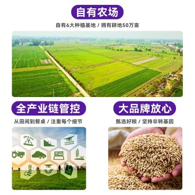 安徽绿豆双层真空包装400g 五谷杂粮伴手礼绿豆 农家新绿 豆批发图4