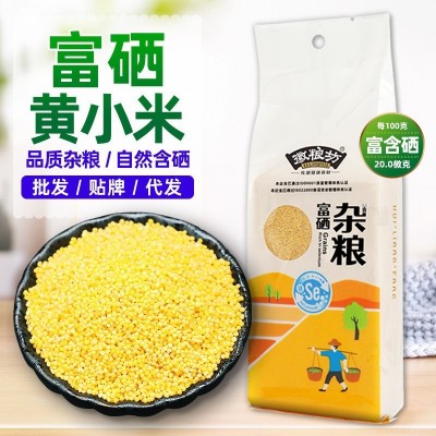 富硒小米批发 黄小米真空袋装月子小黄米优质五谷杂粮山西 黄小米