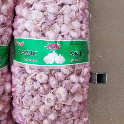 大蒜头 蒜头 山东批发紫皮大蒜普通混级干蒜头原产地发货蒜图3