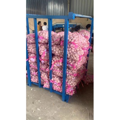 出口质量大蒜头产地直发各种规格紫皮干蒜新蒜干蒜图2