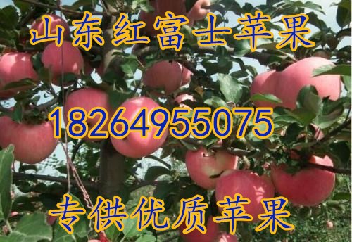 u=1244337633,14485191&fm=2
