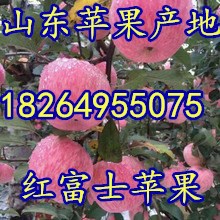 887571093019_493800482_220<i></i>x220