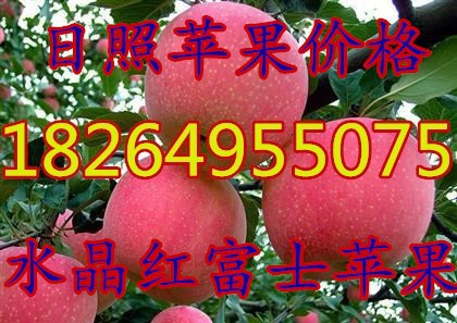 66u=2305028356,1390176835&