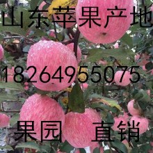 677571093019_493800482_220<i></i>x220