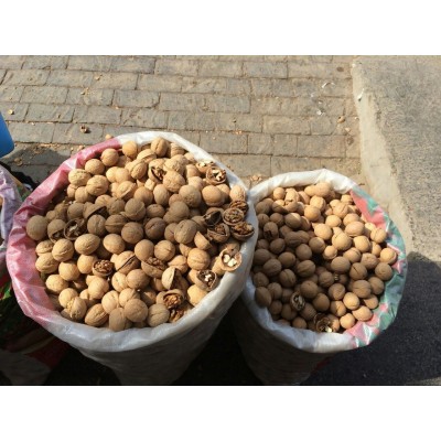 2023年新疆薄皮核桃原味核桃核桃仁饱满散装批发支持一件代发图3