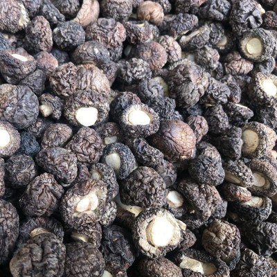 漳平黑珍珠香菇干货批发500g1.5-2cm香菇厚菇冬菇散装食用菌干货图3