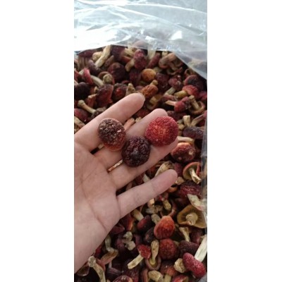 野生红菇厂家直供干货大红菌菇煲汤礼品标菇批发代发图2