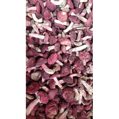 野生红菇厂家直供干货大红菌菇煲汤礼品标菇批发代发