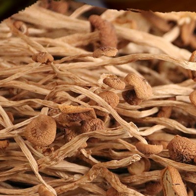 古田茶树菇500g茶树菇干货特产食用菌农产品新货批发不开伞茶树菇图2