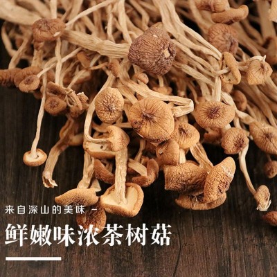 古田茶树菇500g茶树菇干货特产食用菌农产品新货批发不开伞茶树菇图3