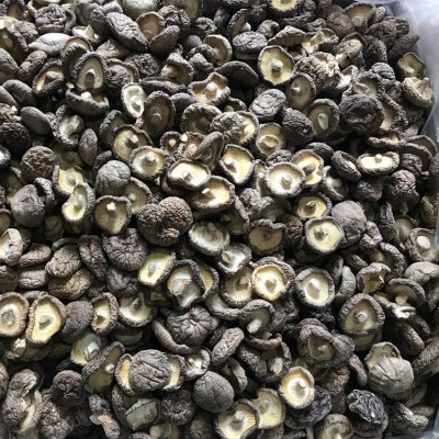 福建香菇干货500克批发 剪脚根短肉厚古田香菇批发干香菇厚菇冬菇图2