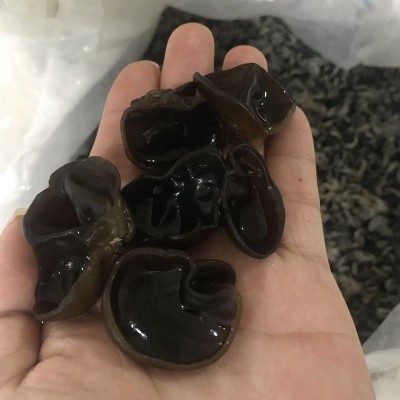 厂家直发黑木耳干货500g无根小木耳小碗耳批发散装东北特产黑木耳