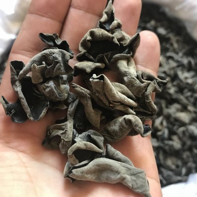 厂家直发黑木耳干货500g无根小木耳小碗耳批发散装东北特产黑木耳图2