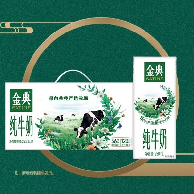 10月新货yili金典纯牛奶12盒整箱优惠儿童学生宿舍办公室营养早餐图2
