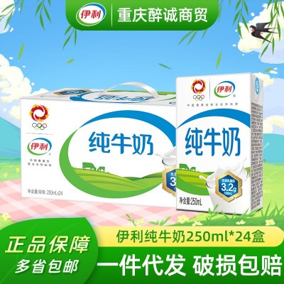 10月产新货yili纯牛奶16盒/21盒/24盒整箱批发儿童成人营养早餐纯