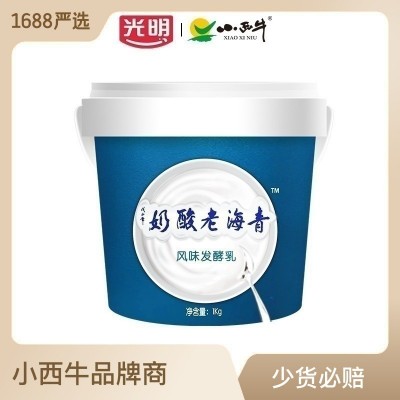 光明小西牛 青海桶装 老酸奶 原味益生菌酸奶高原4.0g蛋白 1L装