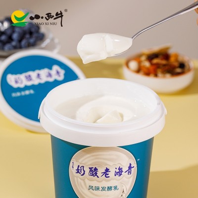 光明小西牛 青海桶装 老酸奶 原味益生菌酸奶高原4.0g蛋白 1L装图3