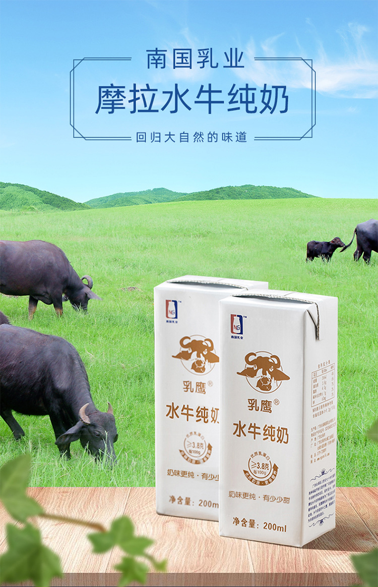 水牛奶新-01