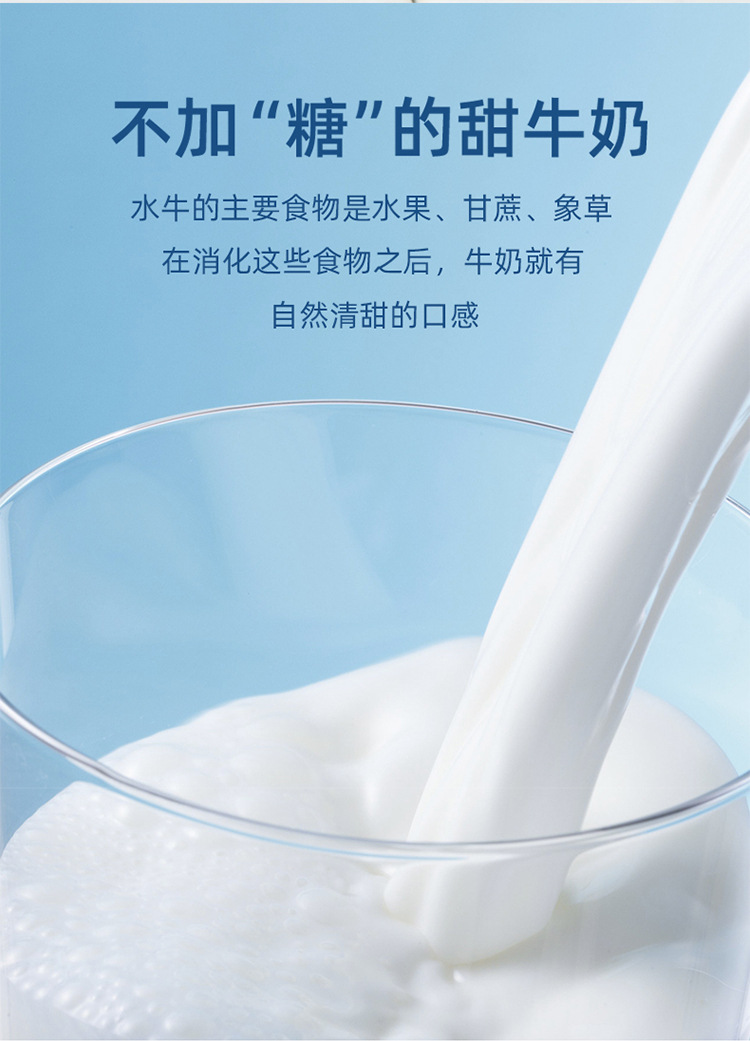 水牛奶新_04