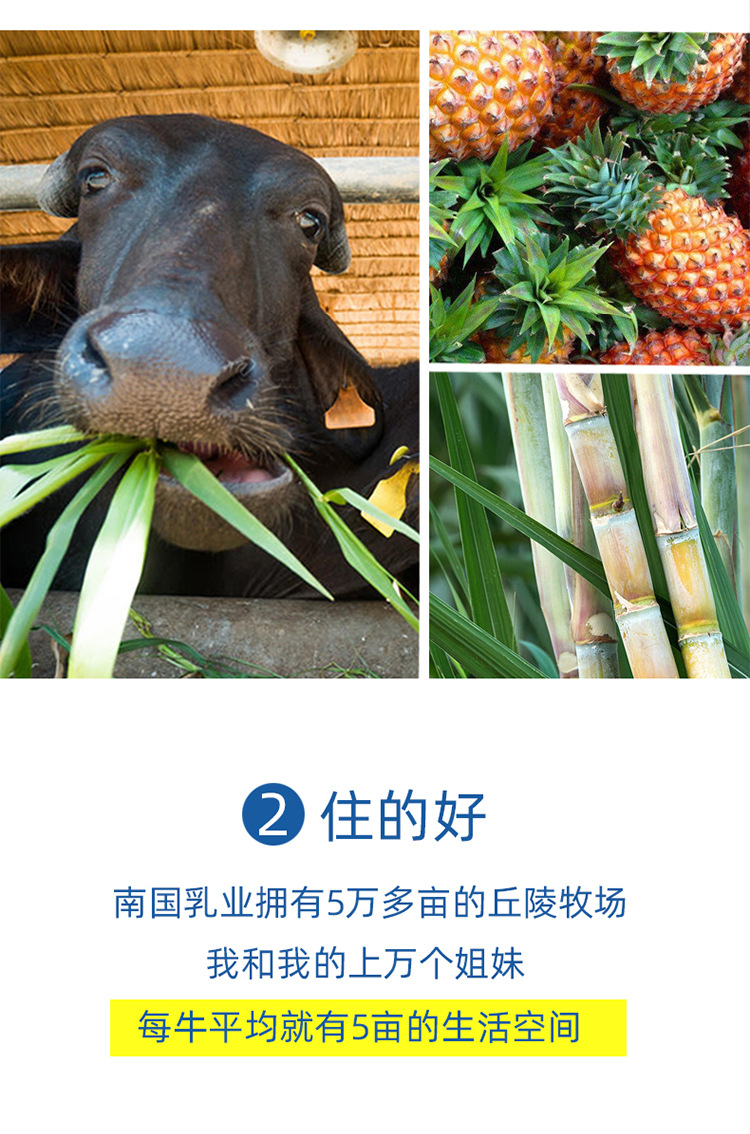 水牛奶新_07