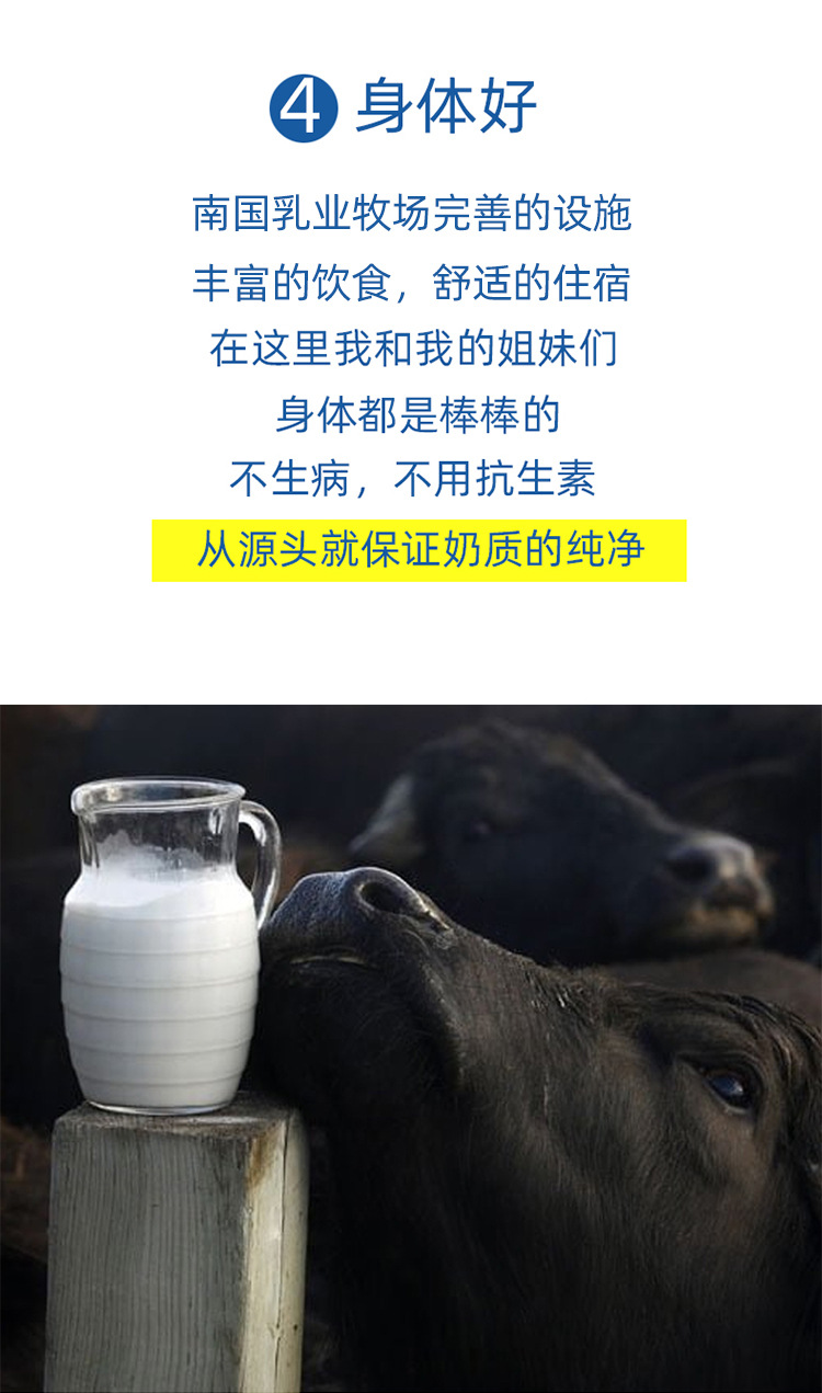 水牛奶新_10