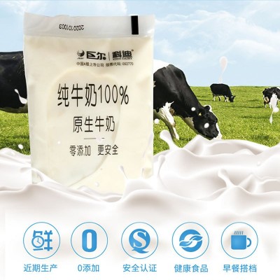科迪纯牛奶原生180ml8/12袋 营养早餐奶新鲜日期整箱冰袋冷藏保鲜图2
