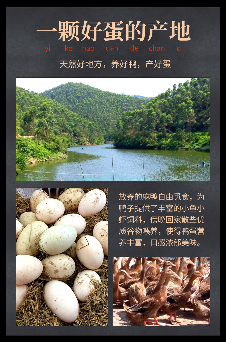 金盏皇红泥蛋_06