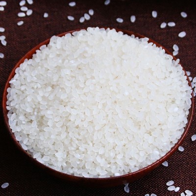 【一件代发】万年贡 稻香小町 4kg 寿司专用大米 东北圆粒米 新米图3