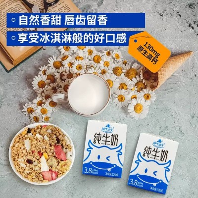 【一件代发】神气水牛纯牛奶 吸管装125ml*10盒图2