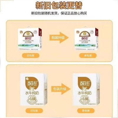 百菲酪纯奶整箱200ml*12盒新鲜儿童学生早餐营养水牛纯奶纯牛奶图4