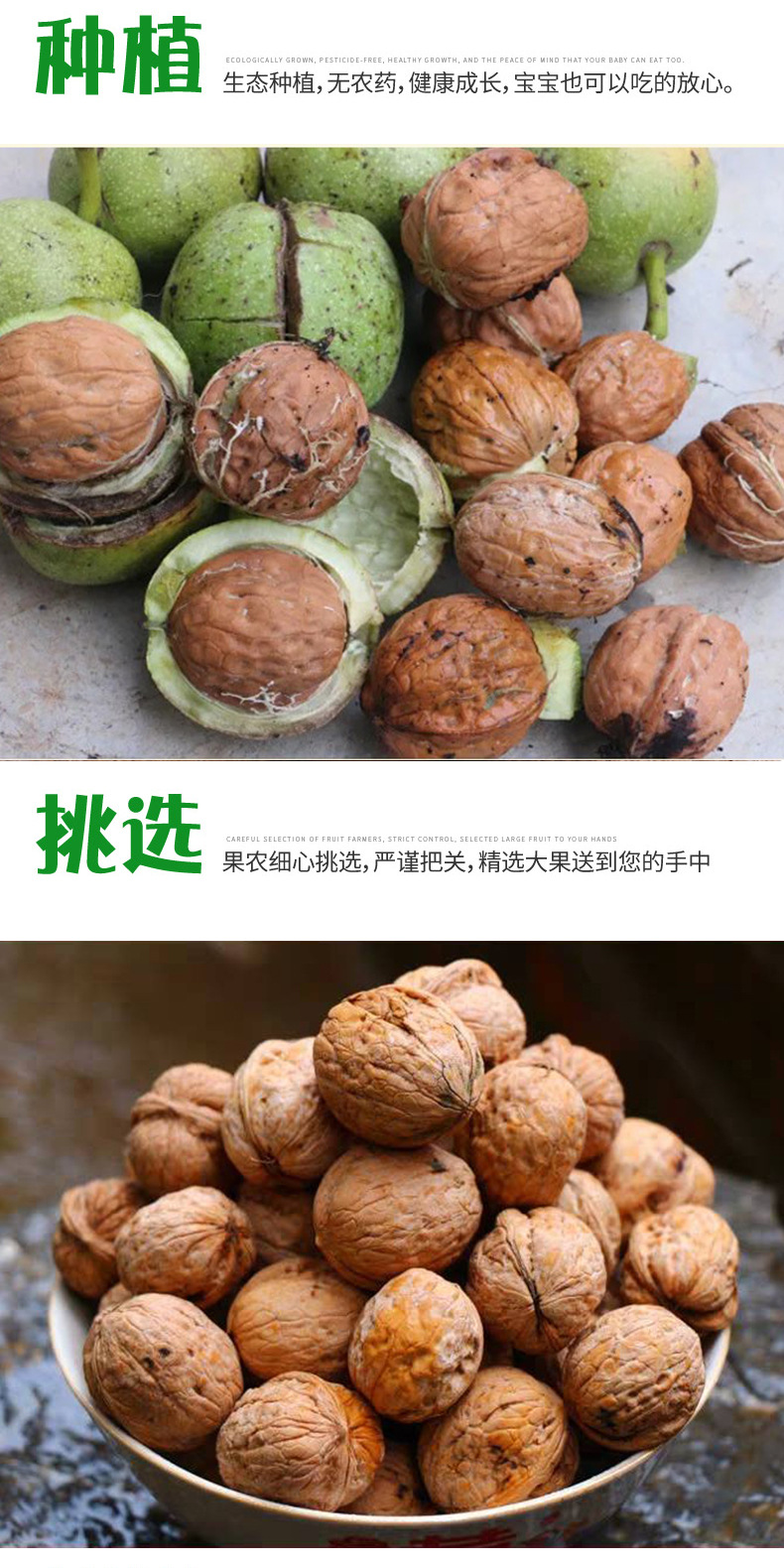 去青皮核桃2020_04