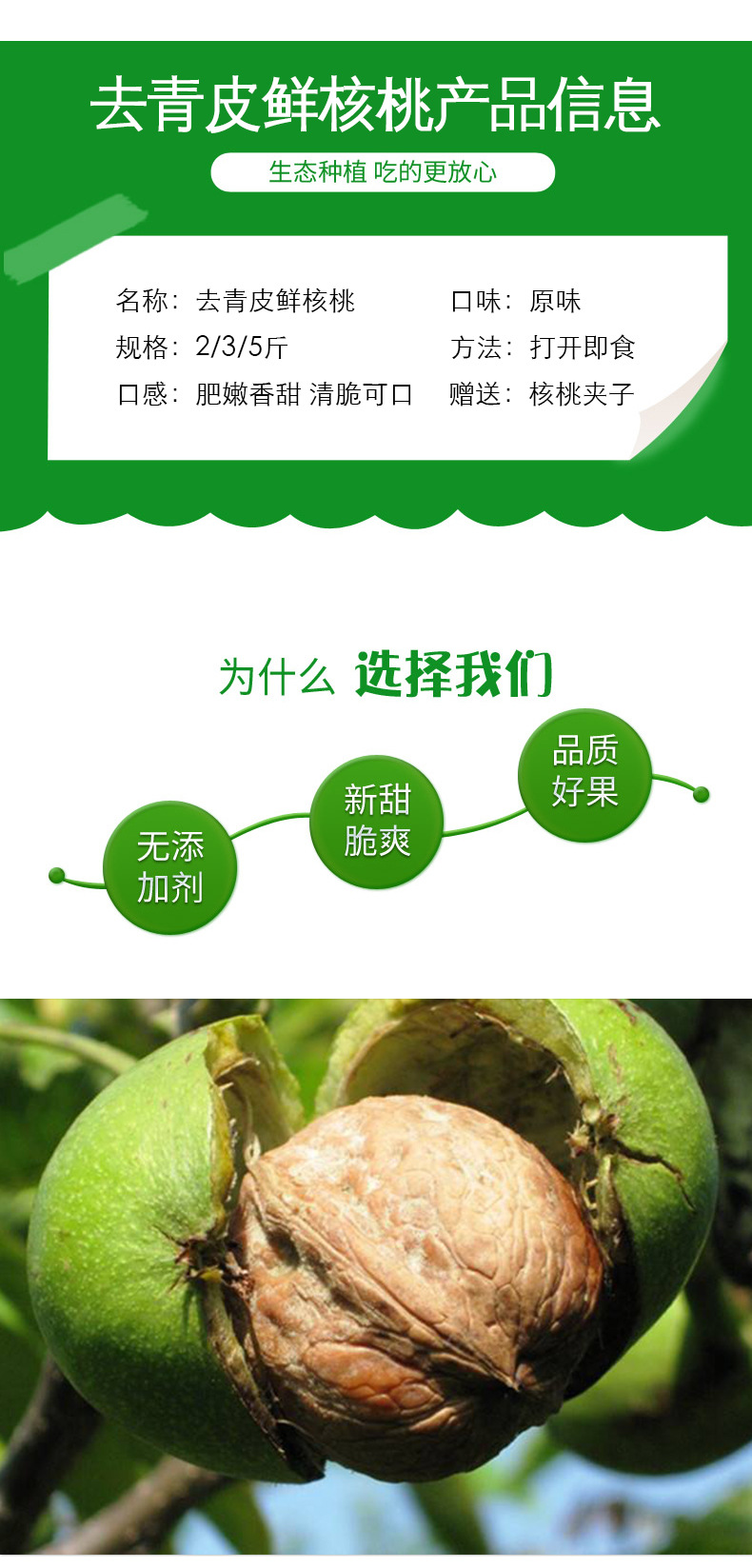 去青皮核桃2020_03