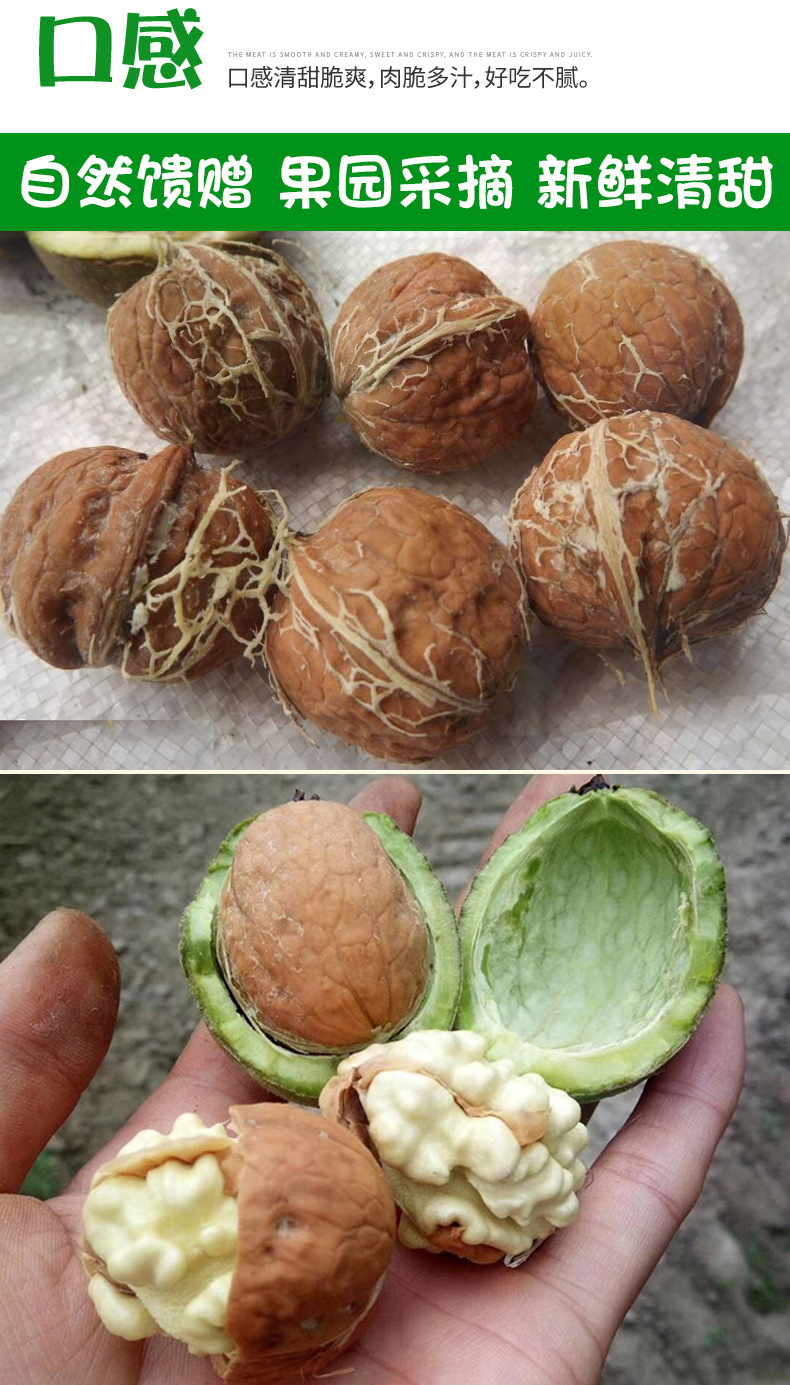 去青皮核桃2020_06