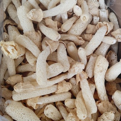 食用菌批发不带裙干货竹荪 不熏硫未开伞竹笙菇蕾500g鲜嫩图2